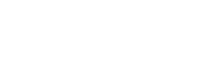 Vincent Logo