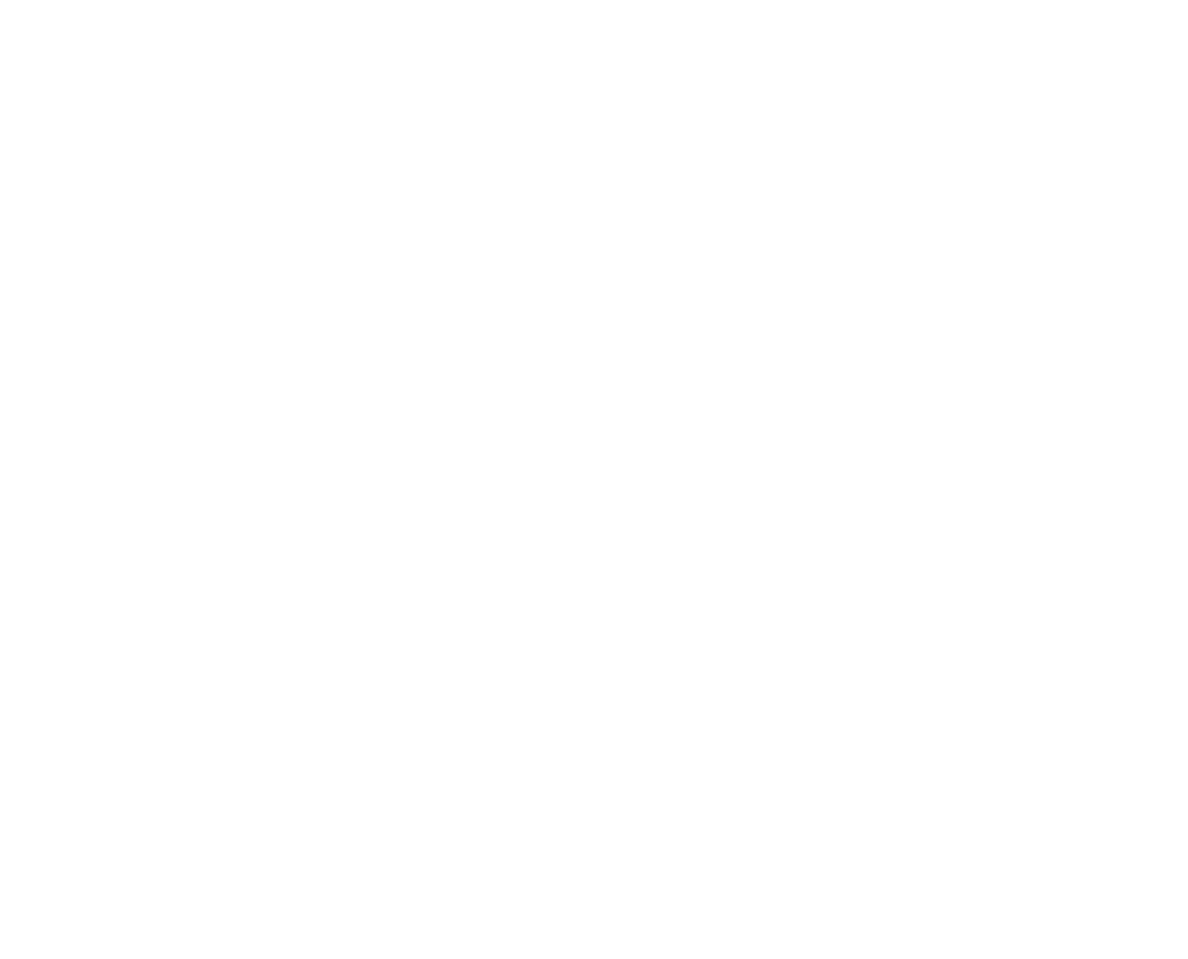 VSSL Logo